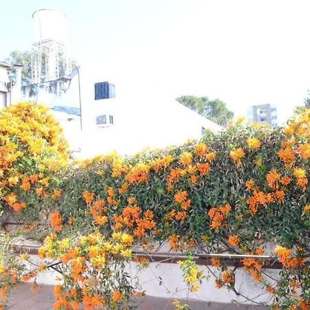 Casa Colonial En Salta Nueva Y Antigua Daire Dış mekan fotoğraf