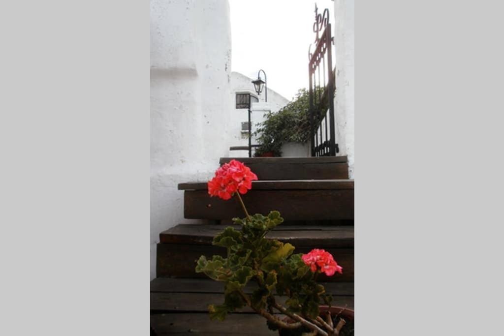 Casa Colonial En Salta Nueva Y Antigua Daire Dış mekan fotoğraf